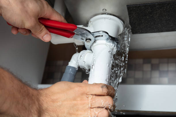 Best Water damage cleanup near me  in Espy, PA