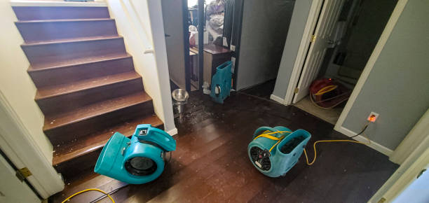Best Fire Damage Restoration  in Espy, PA
