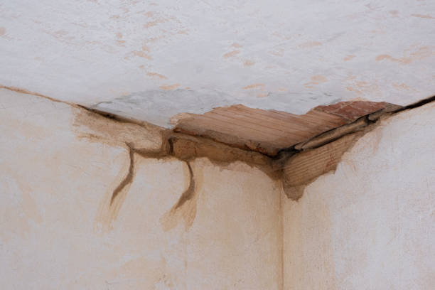 Trusted Espy, PA Water damage restoration Experts