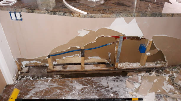 Best Water damage restoration mold remediation  in Espy, PA