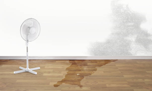 Best 24/7 water damage repair  in Espy, PA