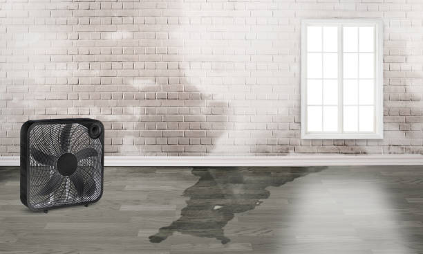 Best Local water damage restoration  in Espy, PA