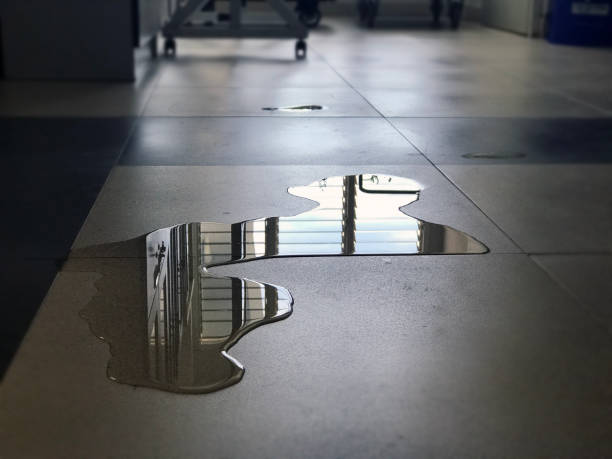 Best Water damage restoration near me  in Espy, PA