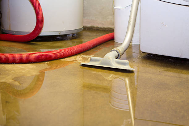 Best Flood restoration services  in Espy, PA