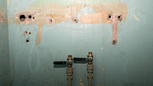Best Water damage restoration near me  in Espy, PA