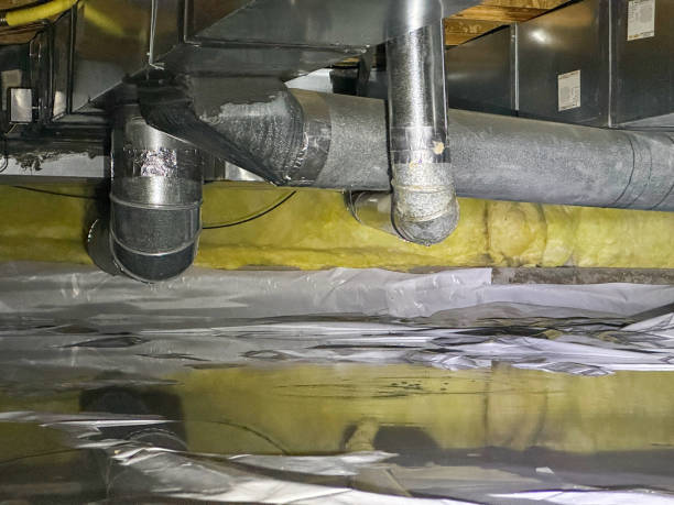 Best Mold removal after water damage  in Espy, PA