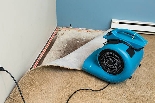Best Fire Damage Restoration  in Espy, PA